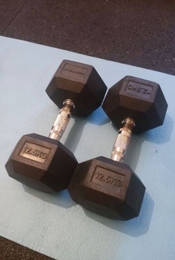 12.5kg dumbbells