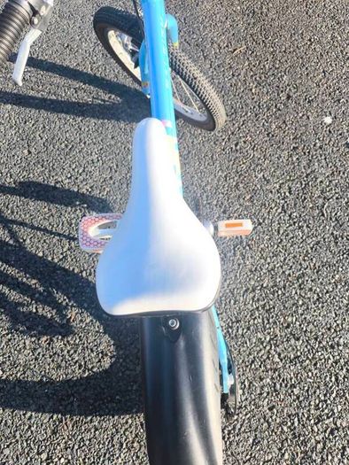 Girl's Raleigh Pop Bike 18"