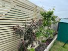 Fencing, Fence panels, Privacy screens and wall toppers Image 2