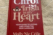 Irish language children's book
