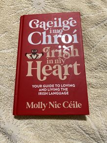 Irish language children's book