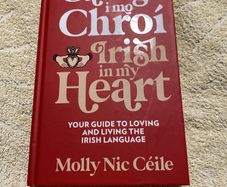 Irish language children's book
