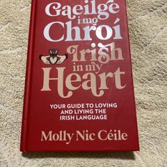 Irish language children's book