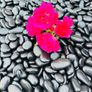 Marble chips, grave stones, chips, pebbles, pearl Image 6