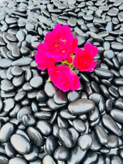 Marble chips, grave stones, chips, pebbles, pearl