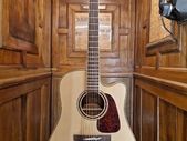Takamine P4DC