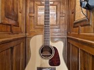 main image for ad Takamine P4DC