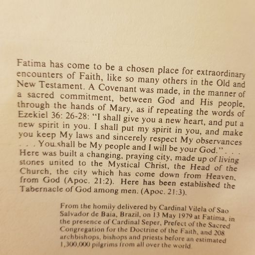 Fatima The Great Sign By Francis Johnston. Paperback.  In Good Condition.