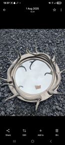 Antler Wall  Mirror