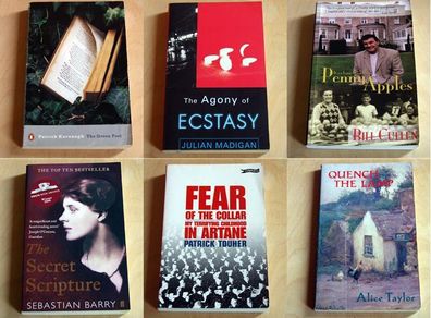 Irish historical fiction and memoirs