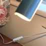 Gooseneck Clamp Lamp Image 7