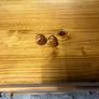 Chest Of Draws Image 5