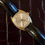 Vintage 1960 Swiss Glycine Image 4