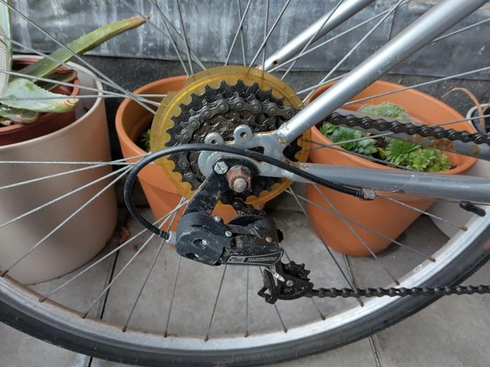Apollo bike