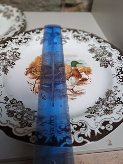 2 Burleigh ducks and fowl plates