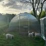 greenhouses polycarbonate Image 4