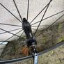 HED 50mm Carbon Wheels Image 4