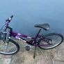 Pearl mountain bike Image 2