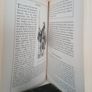 Ireland: History of a Nation by David Ross (PT209) Image 5