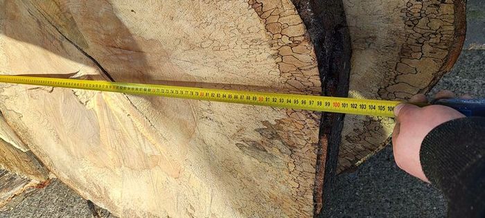 Premium Spalted Beech Wood Slabs 5 Years Air Dried
