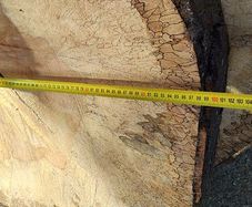 Premium Spalted Beech Wood Slabs 5 Years Air Dried
