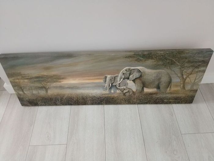 canvas picture