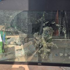 fish tank and stand