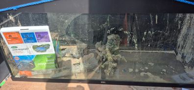 fish tank and stand
