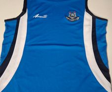 Vintage Dublin GAA O'Neills Arnotts Gaelic Football Jersey Vest (Adult XL) FREE POST