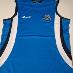 Vintage Dublin GAA O'Neills Arnotts Gaelic Football Jersey Vest (Adult XL) FREE POST