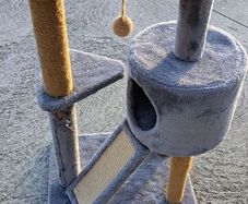 Cat Tower