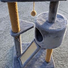 Cat Tower