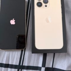 iPhone 13 Pro