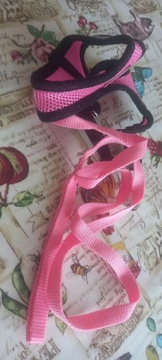 dog harness