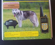 Dog training collar
