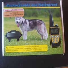 Dog training collar