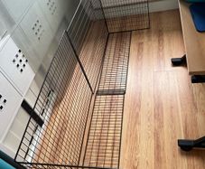 Fire Guard