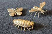 3 brass Insects, Solid brass.