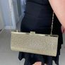 Gold Evening Bag Image 4