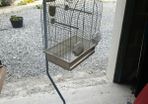 bird cage