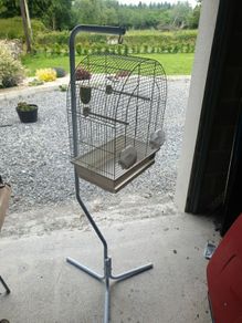 bird cage