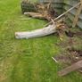 wood logs Image 4
