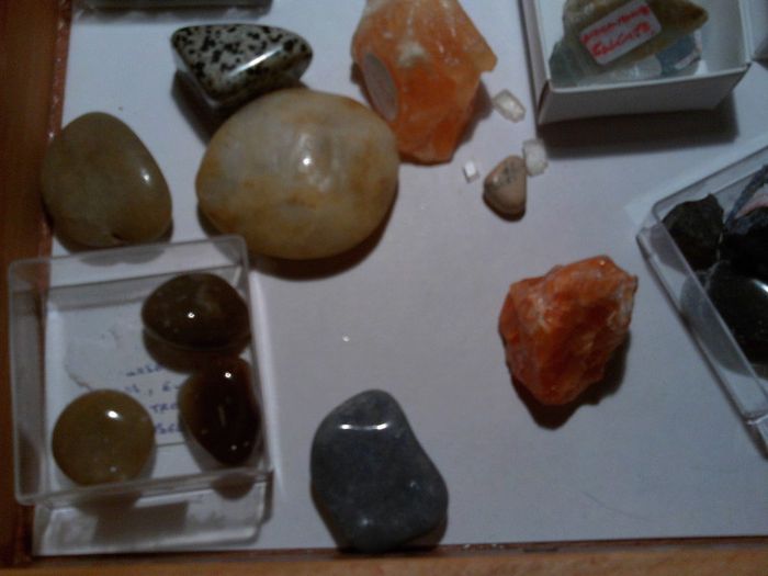 rocks, fossils, minerals