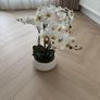 Faux Orchid Designer Flowers from Tara Lane Image 4