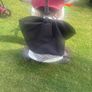 Smart Trike Image 3