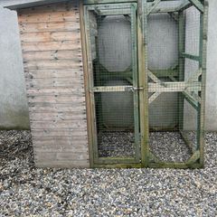 Out door cat pen