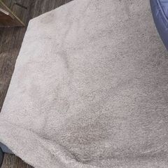 Premium Plush Rug