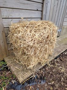 Bale of Straw