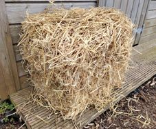 Bale of Straw