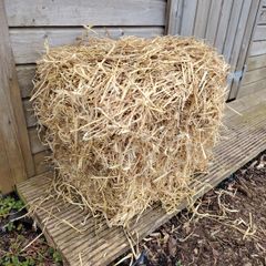 Bale of Straw